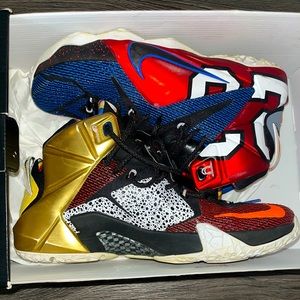 Lebron the twelve shoes